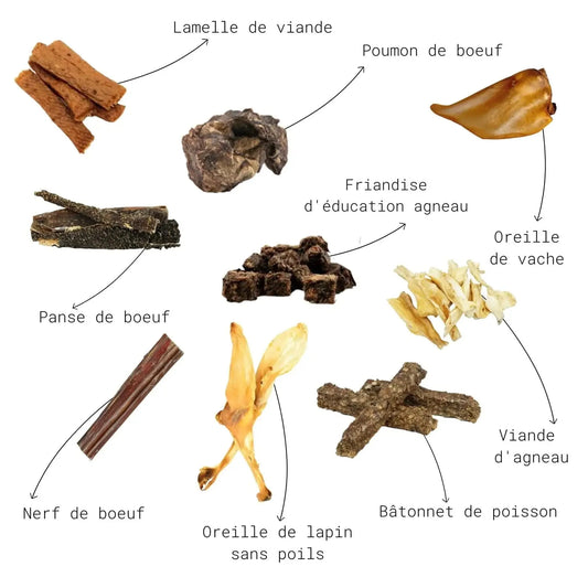 Contenu de la box Découverte CANIBAR : mastications et friandises naturelles pour chien