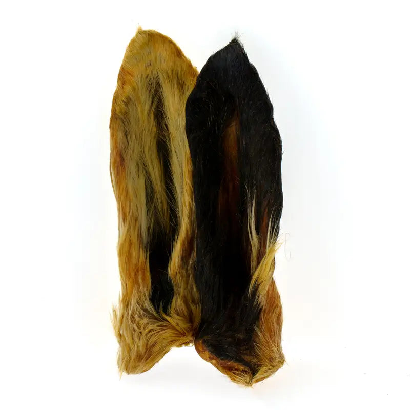 Oreille d'agneau avec poils Mouton Cadet CANIBAR, photo du produit