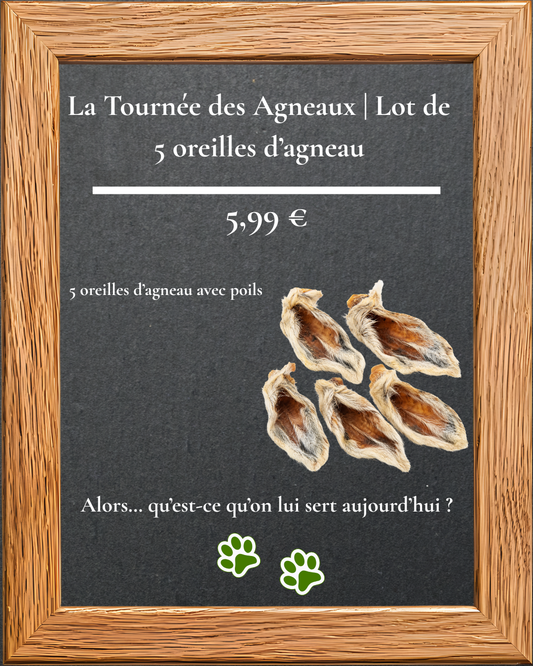 La Tournée des Agneaux | Lot de 5 oreilles d'agneau