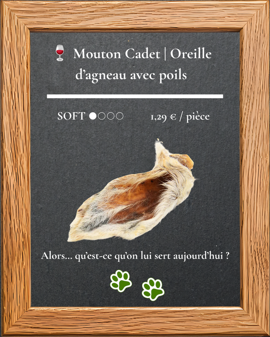 Mouton Cadet, oreille d'agneau avec poils, mastication douce pour chien