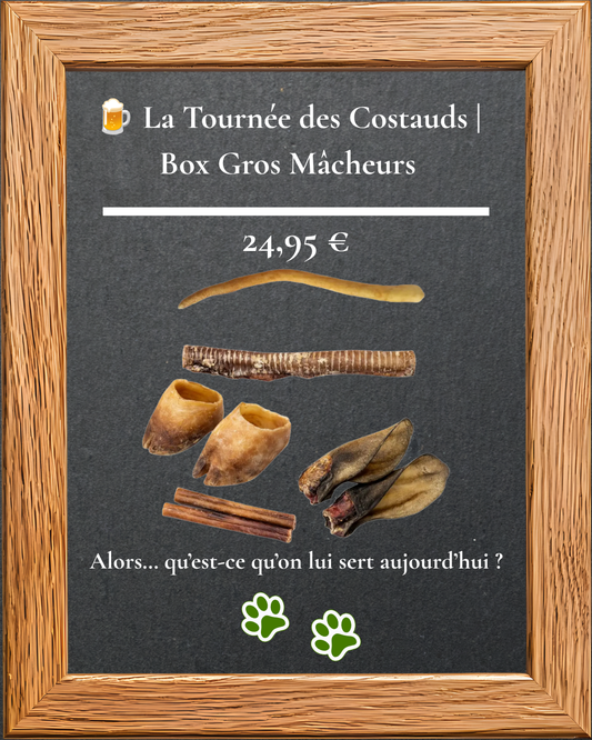 Box Gros Mâcheurs La Tournée des Costauds, mastications naturelles pour gros chien