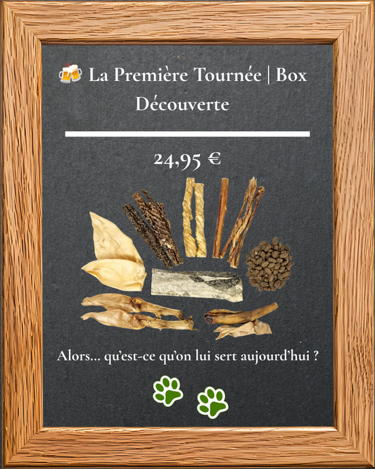 Box Découverte La Première Tournée, assortiment de mastications naturelles pour chien débutant