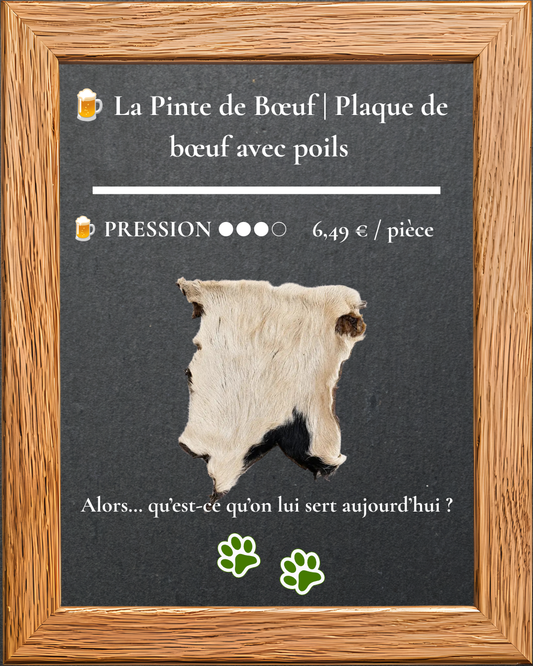 La Pinte de Bœuf, plaque de bœuf avec poils, mastication naturelle pour chien