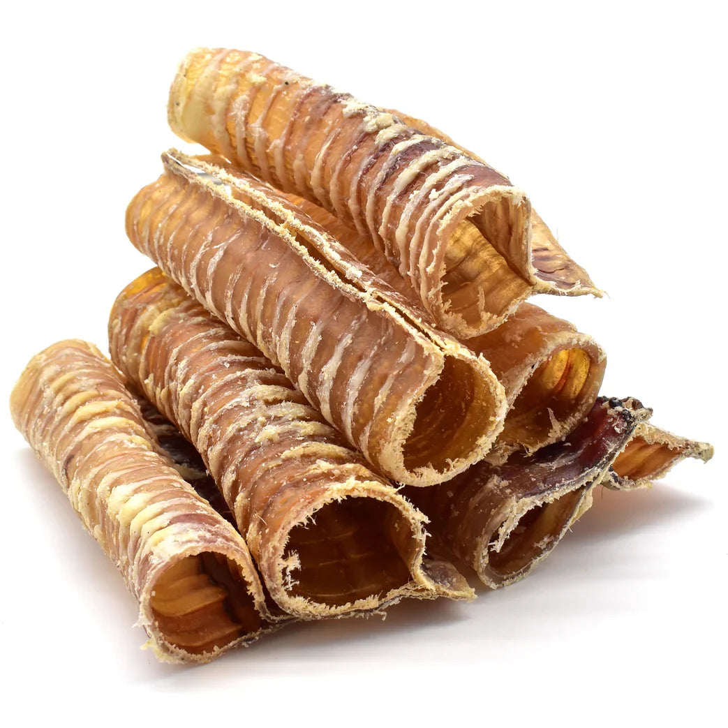 Trachée de bœuf Trachéïta CANIBAR, photo du produit